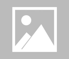 壹号娱乐- 德甲法兰克福官网 