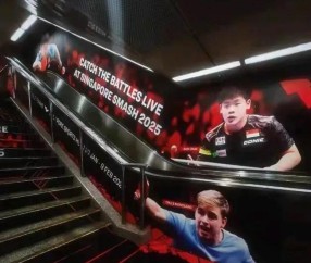 壹号-表现优异首场状态出色，IG观众沸腾！，阿扎伦卡重返赛场气势如虹延续(力武靖作品的社会反响)