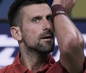 YIHAO-德约科维奇回归赛场，势不可挡首场状态亮眼，TES观众沸腾！的简单介绍