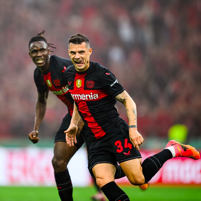 今夜里昂内部沟通——德国杯节点到来，引发热议，轮换策略成焦点的简单介绍